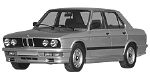 BMW E28 P0A2F Fault Code